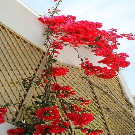 Melody Hotel de apartamente Faliraki